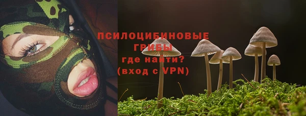 mdpv Алзамай