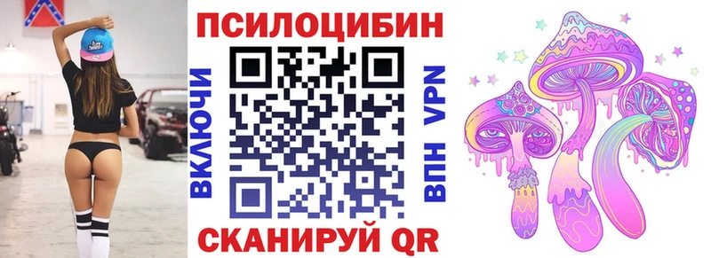 закладки Монино Галлюциногенные грибы мицелий